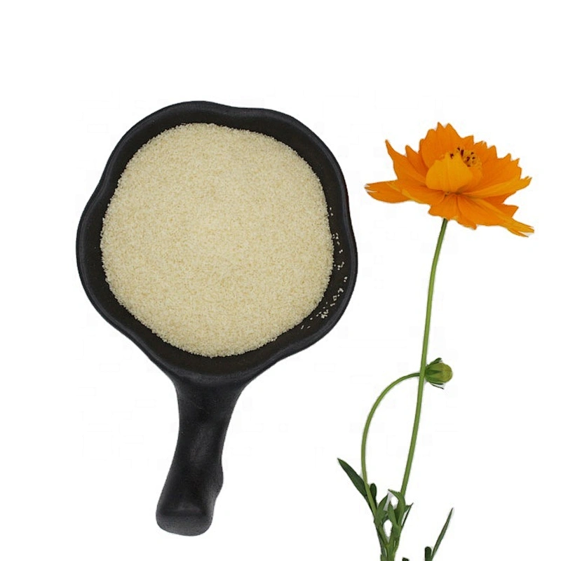 Halal Powder Bloom gelatin price gelatine with high quality 160bloom